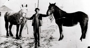 Nekolie Mikkelson with horses